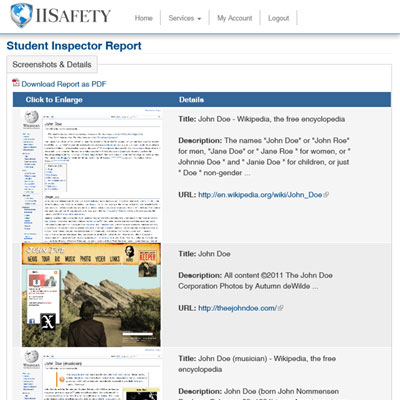 Detailed report example